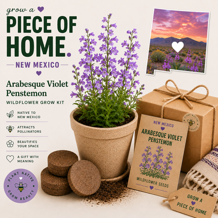 New Mexico Arabesque Violet Penstemon Wildflower Grow Kit