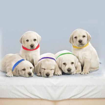 12-Piece: Whelping ID Collars Color Set
