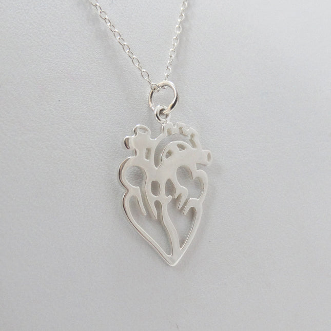 Open Anatomical Heart Necklace – Sterling Silver Medical Heart Pendant on 16" Chain