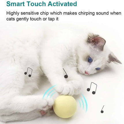 3-Pack: Realistic Chirping Balls Cat Toys
