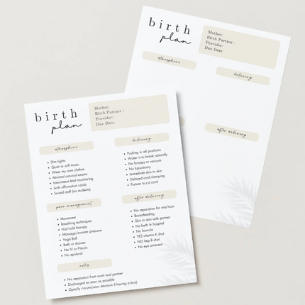 Editable Canva Birth Plan Template – 2 Page PDF in 3 Minimalist Designs (Instant Download)