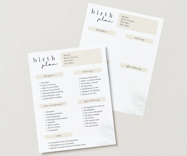 Editable Canva Birth Plan Template – 2 Page PDF in 3 Minimalist Designs (Instant Download)