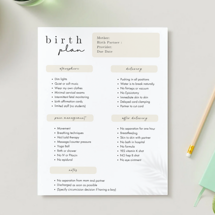 Editable Canva Birth Plan Template – 2 Page PDF in 3 Minimalist Designs (Instant Download)