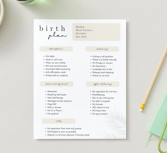 Editable Canva Birth Plan Template – 2 Page PDF in 3 Minimalist Designs (Instant Download)