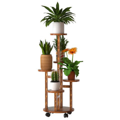 Collection image for: Plants