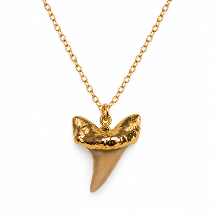 Single shark tooth necklace with a textured gold metal cap on a gold-colored cable chain.