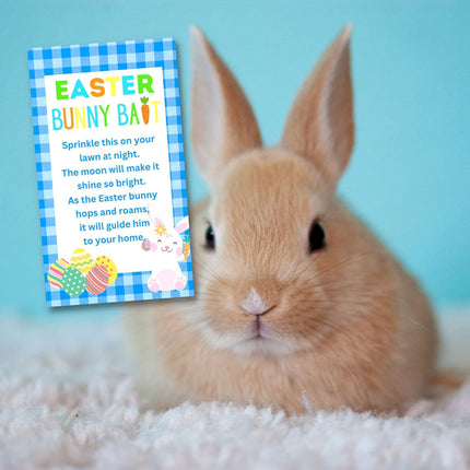 Easter Bunny Bait Gift Bag