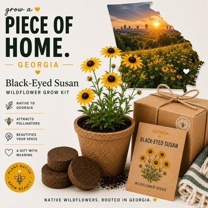 Georgia Black-Eyed Susan Grow Kit