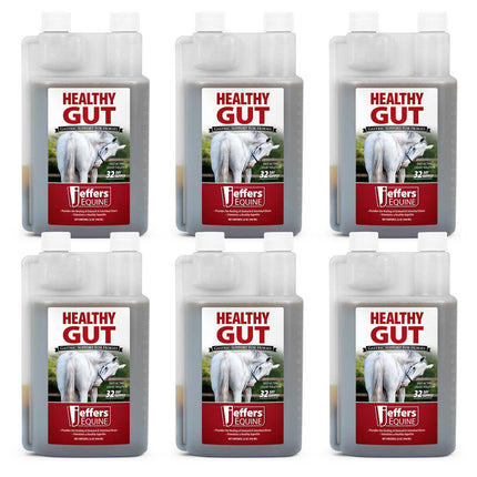 Jeffers Healthy Gut Gastric Support Liquid Supplement for Horses