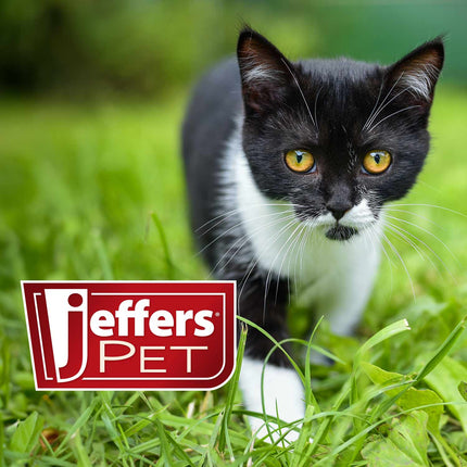 Jeffers Pet Nail File for Dog and Cat Nail Grooming, 7"L