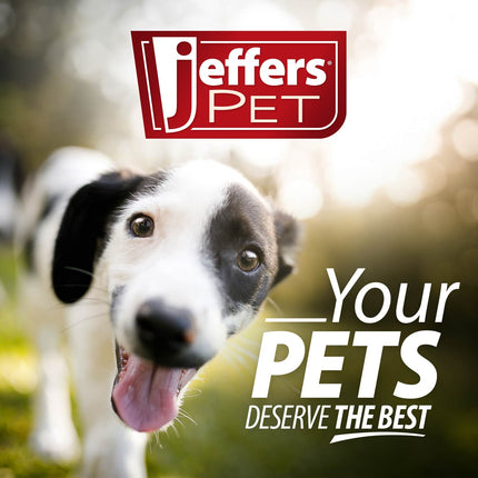 Jeffers Red "Y" Natural Rubber Dental Dog Chew Toy for Medium Chewers