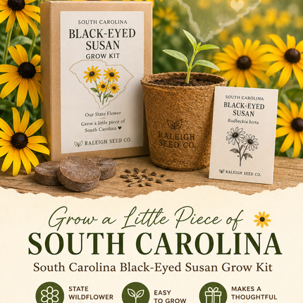 South Carolina Black-Eyed Susan Grow Kit