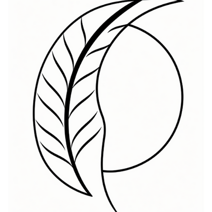 Line & Leaf – 100 Boho Minimalist Coloring Pages (Instant Download PDF)
