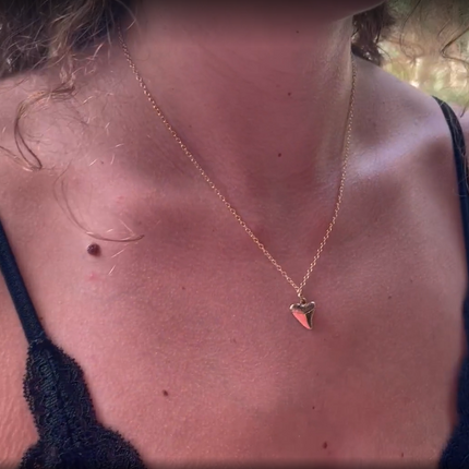 Shark Tooth Necklace, 18" Gold Filled Chain - As Seen on Netflix’s The Ultimatum