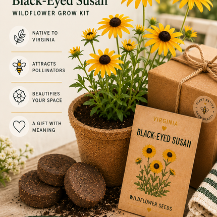 Virginia Black-Eyed Susan Grow Kit