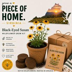 Collection image for: Plant Seeds / Growing Kits