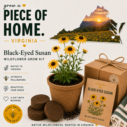 Virginia Black-Eyed Susan Grow Kit