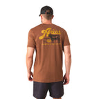 Brown / Small / Each