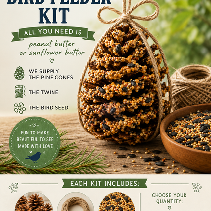 DIY Pine Cone Bird Feeder Kit