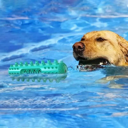 Dog Chew Toys Dog Toothbrush Stick