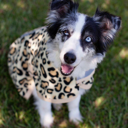 Jeffers Expression Moisture-Wicking Fleece Dog Coat