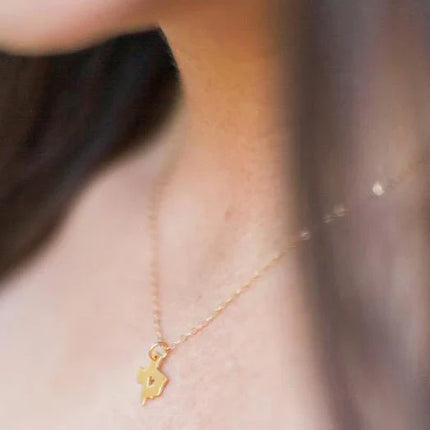 Texas State 14k Gold Filled Necklace