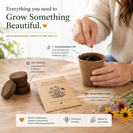 New Jersey Blue Cornflower Wildflower Grow Kit
