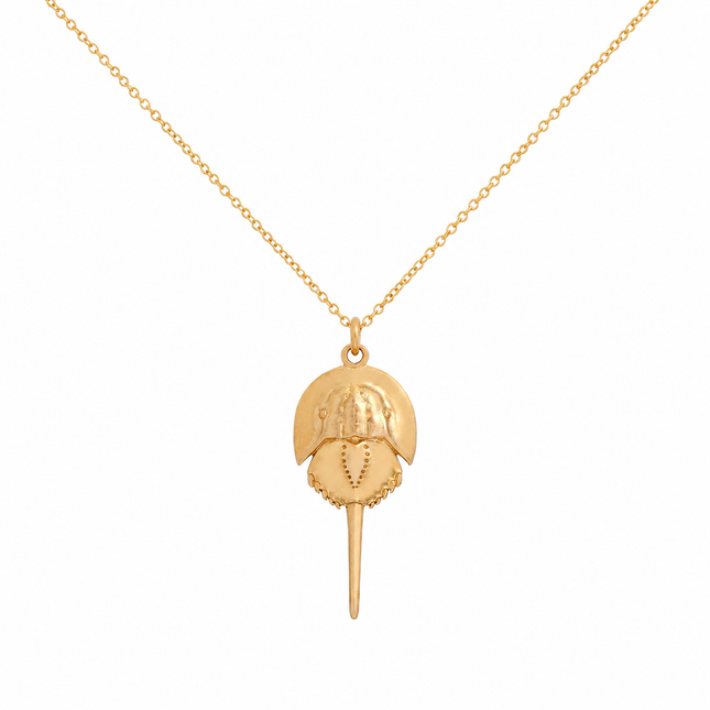 Horseshoe Crab Necklace | Bronze Coastal Pendant on Gold Filled Chain