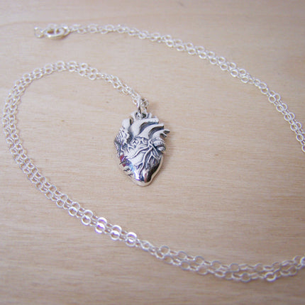Sterling Silver Anatomical Heart Necklace – Realistic Heart Charm for Medical Professionals & Students