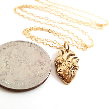 Anatomical Heart Charm 14k Gold Filled Necklace