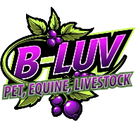 B-Luv 