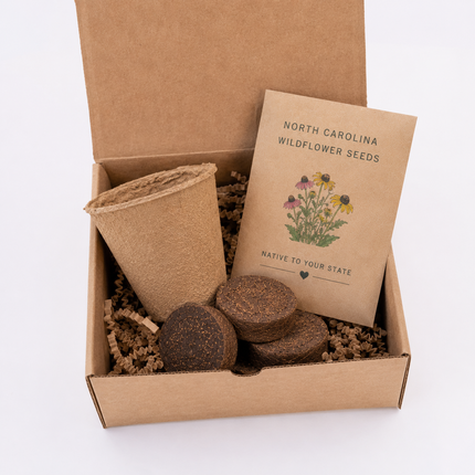 Illinois Purple Coneflower Grow Kit