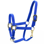 Yearling / Royal Blue