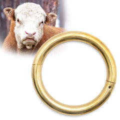 Collection image for: Cattle Supplies