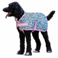 Collection image for: Dog Apparel