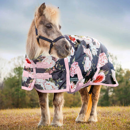 Jeffers Expression Pony 1200 Denier Medium Weight Standard Neck Turnout Blanket, 240g Fill