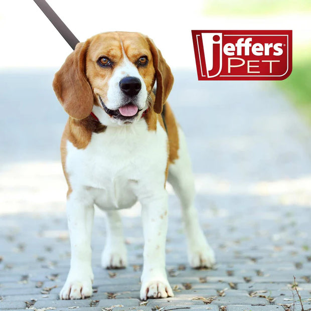 <h3>Dog Collars</h3>