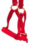 Red / 3/4