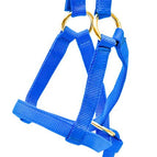 Royal Blue / 3/4