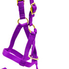 Purple / 3/4