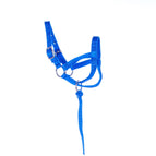 Yearling / Royal Blue