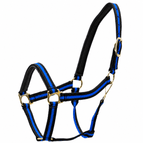 Blue/Black