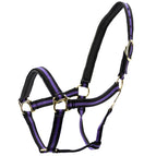 Purple/Black