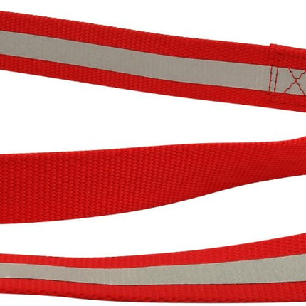 Jeffers Reflective Glow-in-the-Dark Safety Stripe Nylon Dog Leash, 1" W x 4' L