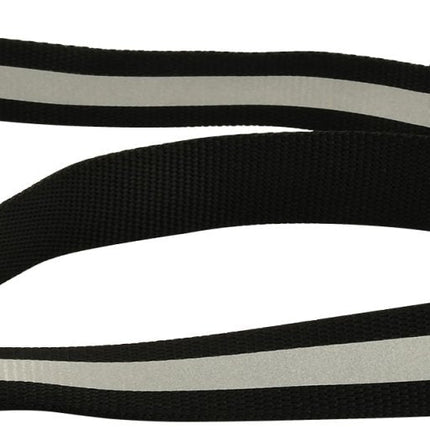 Jeffers Reflective Glow-in-the-Dark Safety Stripe Nylon Dog Leash, 1" W x 4' L