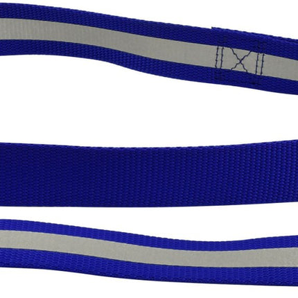 Jeffers Reflective Glow-in-the-Dark Safety Stripe Nylon Dog Leash, 1" W x 4' L