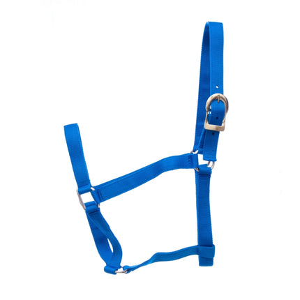 Jeffers Turnout Nylon Horse Halters, 2-Ply, 1"