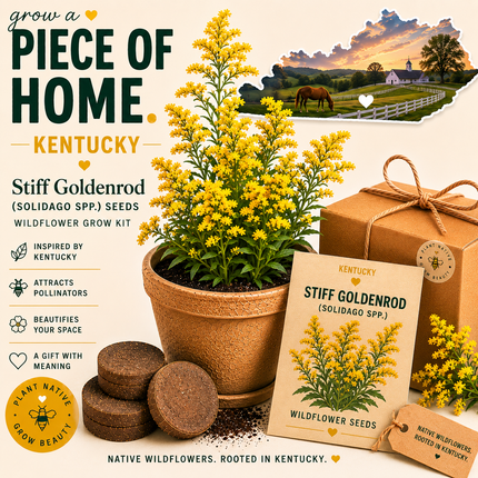Kentucky Stiff Goldenrod Grow Kit