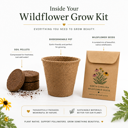 South Dakota Arabesque Violet Penstemon Wildflower Grow Kit
