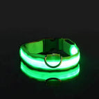 Green / XS